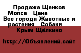 Продажа Щенков Мопса › Цена ­ 18 000 - Все города Животные и растения » Собаки   . Крым,Щёлкино